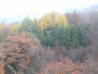 2012.11,07 Asstha & Tushar Visited Gwangneung site