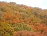 2012.10.31 Juyeol & Tushar visited Gwangneung
