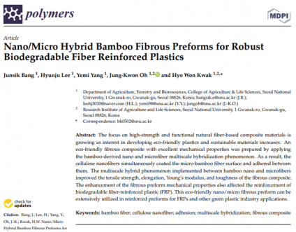 Nano/Micro Hybrid Bamboo Fibrous Preforms for Robust Biodegradable Fiber Reinforced Plastics