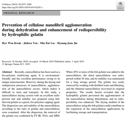 Prevention of cellulose nanofibril agglomeration during dehydration and enhancement of redispersibility by hydrophilic gelatin