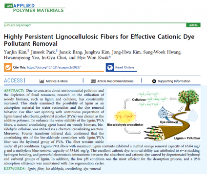 Highly Persistent Lignocellulosic Fibers for Effective Cationic Dye Pollutant Removal